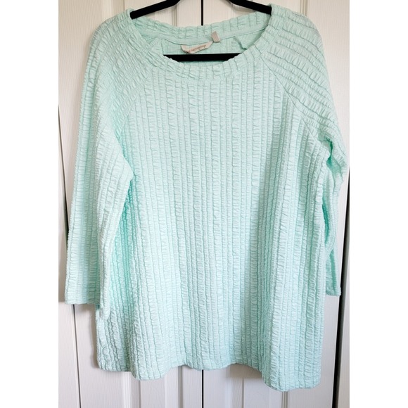 Soft Surroundings XL Goldie Tunic Long Sleeve Top Fair Aqua Cotton Seaside NWT - Picture 2 of 7
